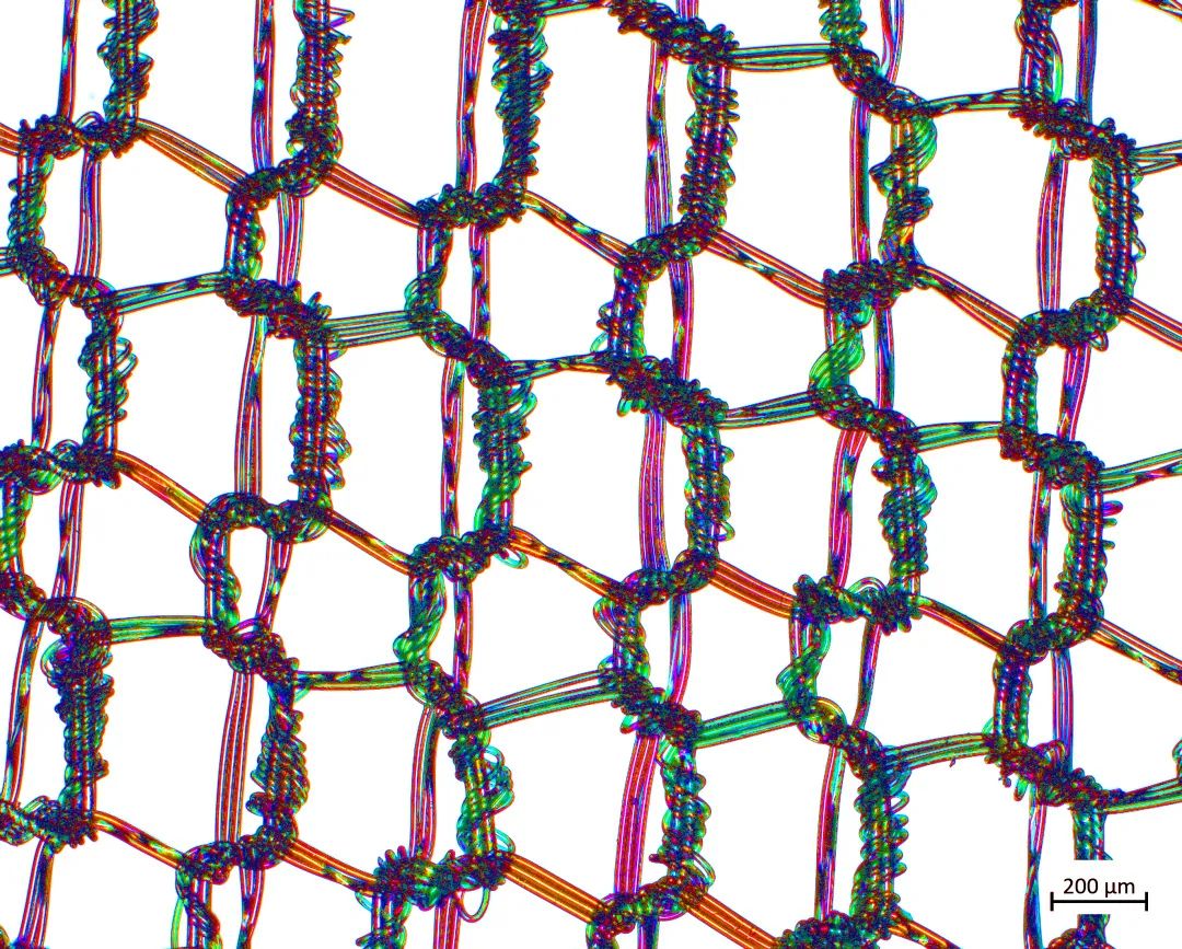 吕梁蔡司场发射吕梁扫描电镜