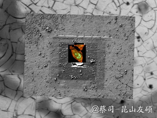 吕梁吕梁蔡司吕梁扫描电镜