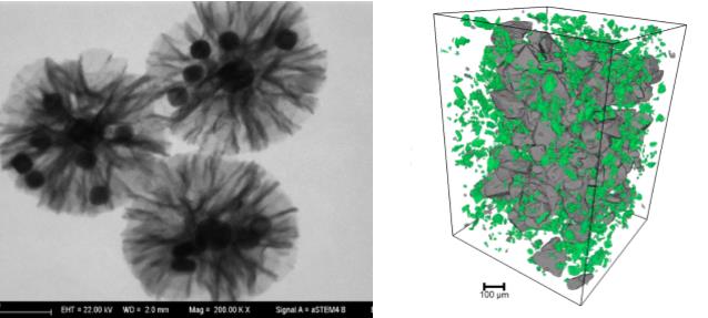 吕梁吕梁蔡司吕梁扫描电镜