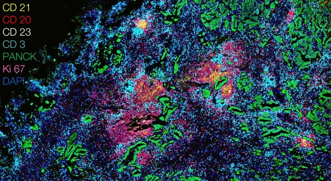 吕梁吕梁蔡司显微镜