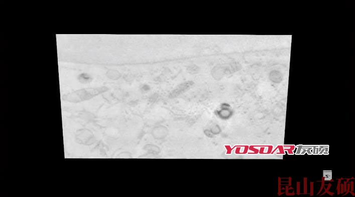 FIB吕梁扫描电镜