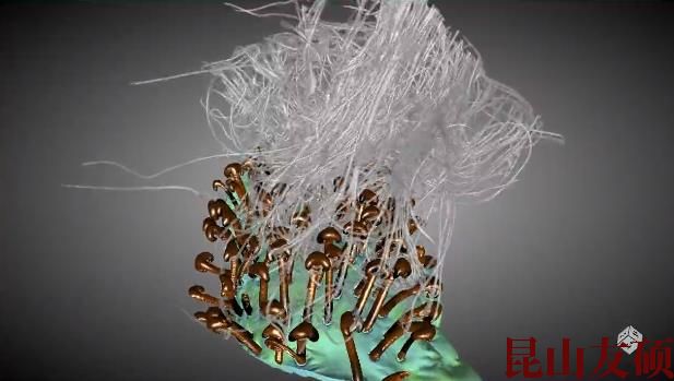 吕梁蔡司吕梁X射线显微镜